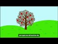 Apple Tree Growth and Care