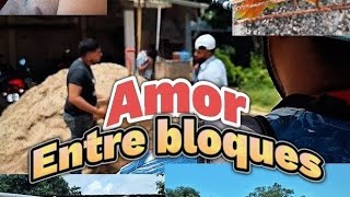Capitulo 4 | Amor entre bloques | { La desaparición } 