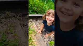 olha o trem 🚂 #funny #memes #comedy