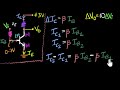 Transistor Amplifier Concepts