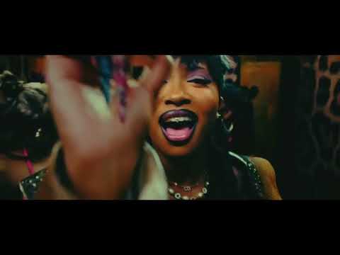Zenzele ( Uncle Waffles x Royal Musiq ft Uncool MC CowBoii rsa Xduppy Music Video )
