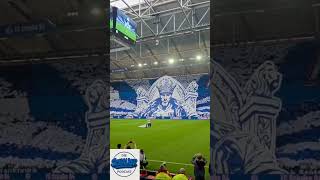 Schalke Choreo gegen Braunschweig #dieschalker #bundesliga #schalke #s04 #fussball