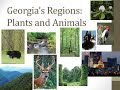 Georgia's Habitats and Adaptations