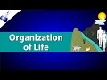 Exploring the Organization of Life from Atoms to Ecosystems