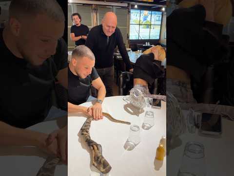 The snake is coming 🐍😳 Follow for more @sossamofficiel1 #sossam #youtubeshorts #shorts #youtube