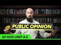 Understanding Public Opinion Polls