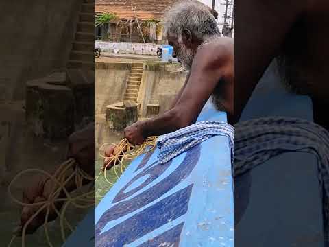 😱ஒரே வலையில் ஆற்றில் உள்ள ஒட்டுமொத்த மீன்களையும் அள்ளிச்சென்ற தாத்தா #fishing #shorts