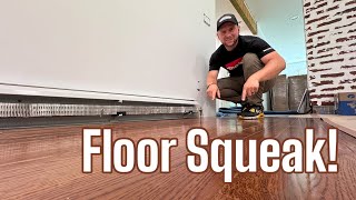 The BEST Way to Fix SQUEAKY FLOOR!