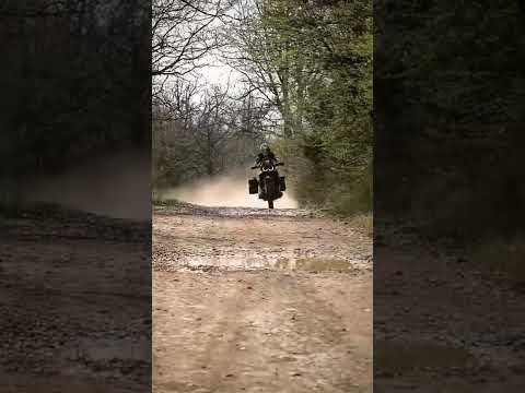 Honda africa twin 1100 off road #shorts #offroad  #honda #africa