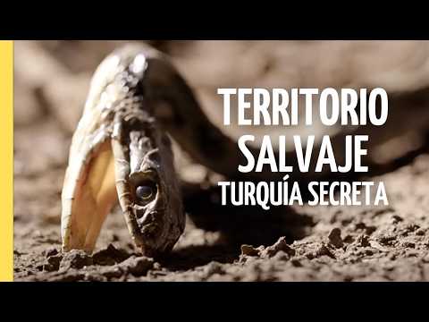 Los Secretos Naturales de Turquía: Un Viaje Entre Montañas y Mar Cristalino | Episodio Completo