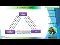 Understanding Matter and Its Transformations