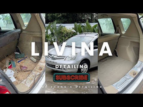 Check Out My $500 Bargain Used Car – With Soy Sauce Stains in the Trunk, Can It Be Saved?