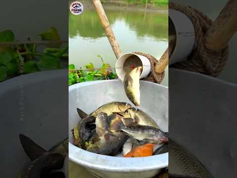 Wow Amazing Plastic pipe fishing trap | Challenge fishing ✅ #shorts #challenge #fishing #shortsfeed