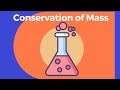 Exploring the Law of Conservation of Mass through Chemical Reactions