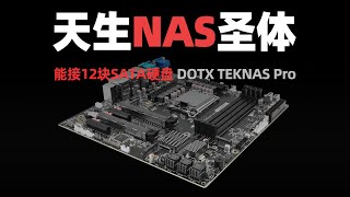 天生主板聖體 自帶12個硬盤接口 為DIY NAS而生的MATX主板 DOTX TekNas Pro 全新上手 支援intel 12/13/14代CPU
