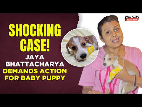 TV Actress Jaya Bhattacharya Exposes Shocking Puppy Sexual Abuse Case | Justice for Animals