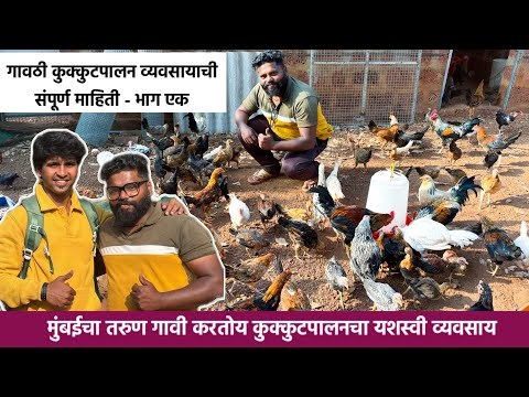 गावरान कुक्कुटपालन व्यवसायाची सर्व माहिती - भाग ०१ |  village business ideas #rajapur