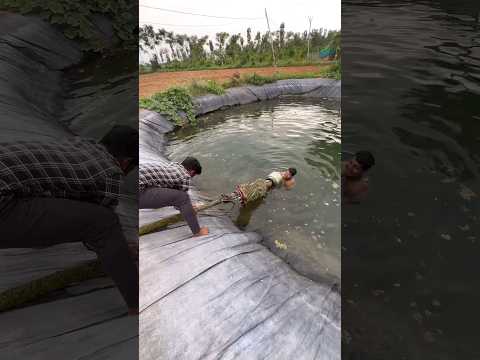 మోటార్ కాలిపోయింది బావి లోపాలకి వెళ్లి మోటార్ ని లేపాలి.. #anil #farmer #middleclassanil #dailyvlogs