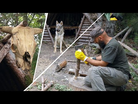 Transforming My Wilderness Retreat After a Year: A Complete Guide | Mr Wild Nature (4K)