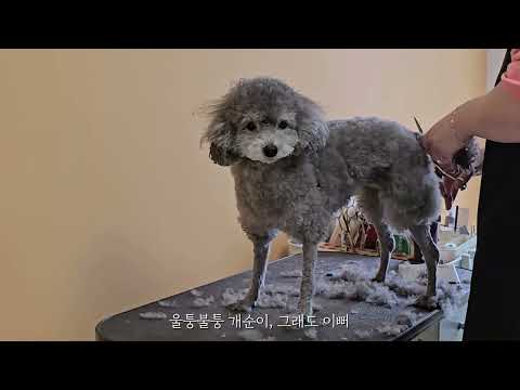 봄맞이 목욕