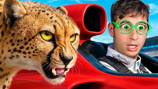 El Coche Más Rápido Del Mundo Vs Cheetah 🔥🐅 (Reacción a MrBeast) - TEKENDO