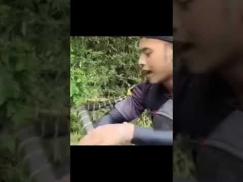 Bạn cắn tôi thì tôi cắn bạn lại ăn miếng trả miếng thôi :)