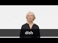 Understanding the Concept of 'Dish'