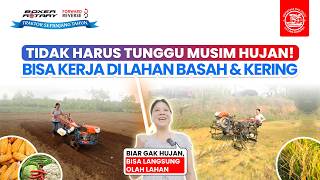 Performa Boxer Rotary di Lahan Bekas Combine: Kuat & Mudah Diatur