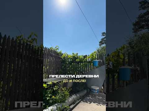 Было 🤭? #юмор #жизаэто #ну смехпродлеваетжизнь #смешновидео #тренд #этожизнь #жиза #смешнойшортс
