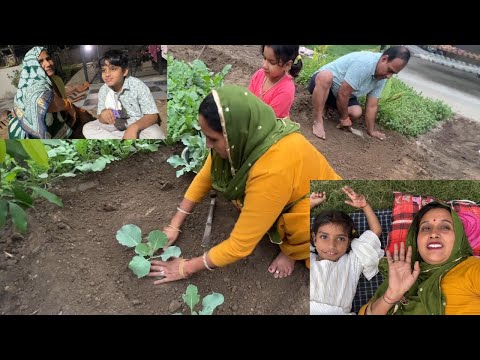 Desi Village Organic Gobhi😒देर रात तक करना पड़ा काम | मेरे जीवन का असली सकून | Pal Family Vlogs