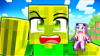 Ich VERFOLGE FLO als MINI SPIELER! 🌸 Minecraft