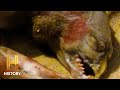 Plum Island Mysteries and Phenomena
