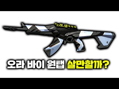 역대급 신스킨에서 처음보는 버그를 발견했습니다... 근데 스킨은 진짜 레전드로 이쁜거같은데?