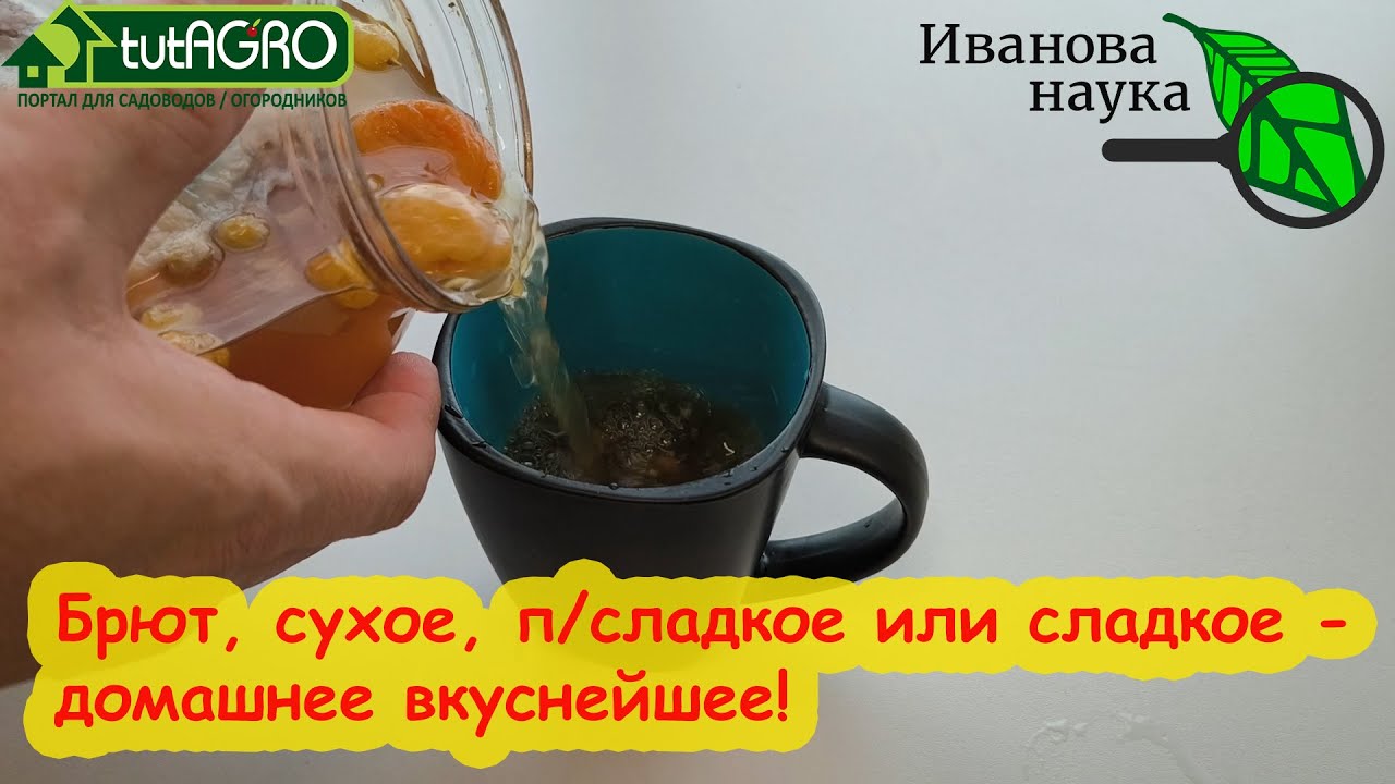 Убирает похмелье и снижает давление! Пейте это каждый день! И будете благодарить меня день и ночь!
