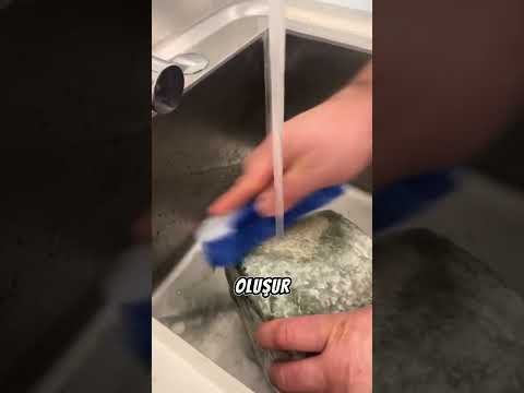 Peynir Küfü Neden Önemli? 🧀