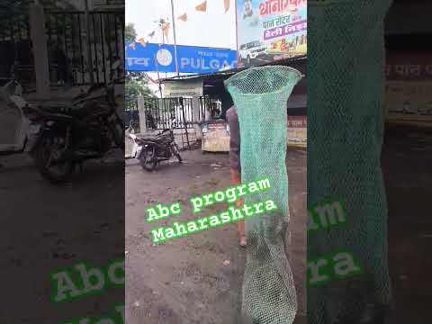 people for animal birth control #dogrescue #dogrescues #animalrescue #dogrescue #dogrescues #animal