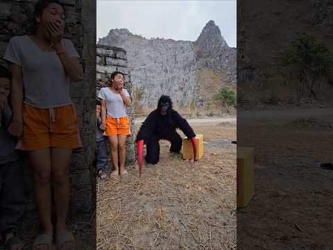2 Gorilla Monster Attack Young Girl