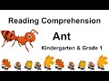 Ants: Facts and Knowledge Check