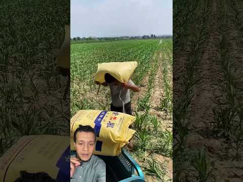 ‏هذه الحيلة مذهلة