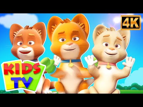 Teen Choti Billiyan, Three Little Kittens + Hindi Cartoon Nursery Rhymes and Baby Songs