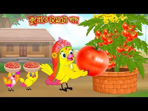 কুয়োতে টমেটো গাছ | Kuyote Tometo Gach | Bangla Cartoon | Thakurmar Jhuli | Pakhir Golpo | Tuntuni