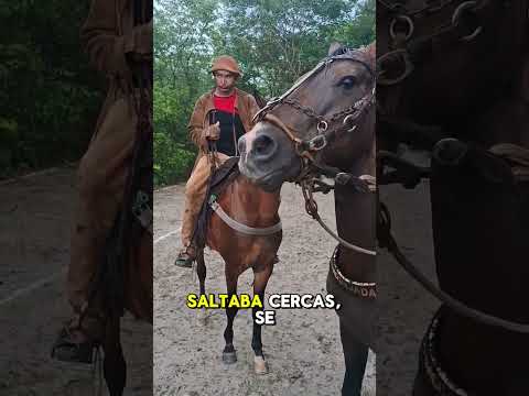 Tuve que Llamar a un Vaquero de México para Atrapar un Toro en Brasil!"