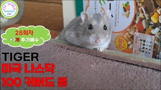 TIGER 미국 나스닥 100 커버드콜 (28회차 매수)