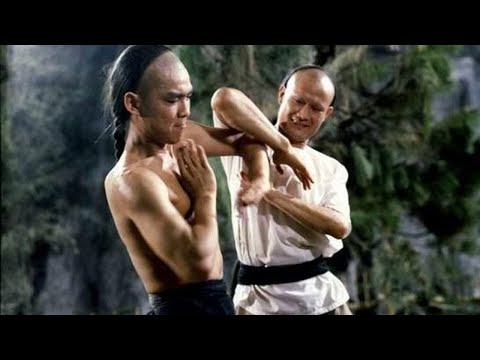 The Magnificent Fighter || Best Chinese Kung Fu Action Movie in English ll Flik Of Fiction