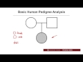 Mendelian Genetics and Pedigree Analysis Insights