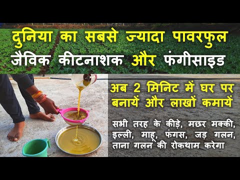 दुनिया का सबसे ज्यादा पावरफुल जैविक कीटनाशक और फंगीसाइड अब 2 मिनिट में घर पर बनायें और लाखों कमायें