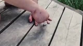 Виктор блуд VS сахарный кубик