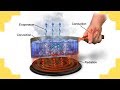 Exploring Heat Transfer: Conduction, Convection, and Radiation