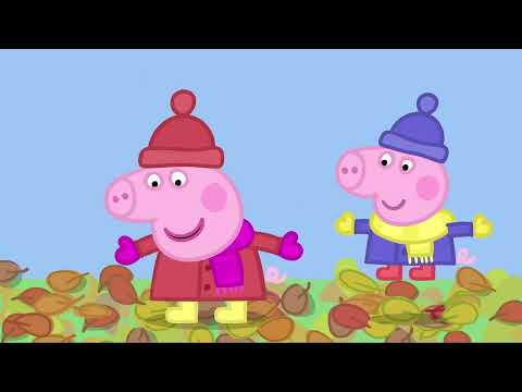 A correspondente | Peppa Pig Português Brasil Compilação | Desenhos Animados