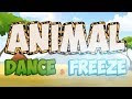 Animal Dance Movements and Actions